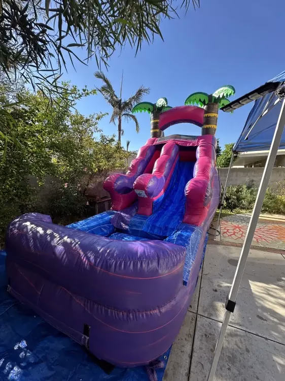 12FT Toddler Pink Water Slide (WS121)