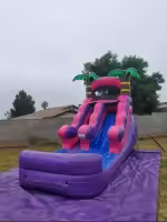 12FT Toddler Pink Water Slide (WS121)