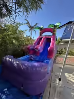 12FT Toddler Pink Water Slide (WS121)
